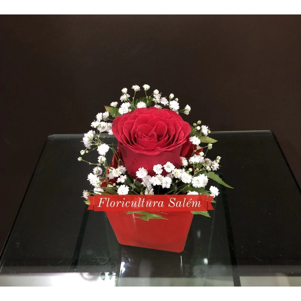 Arranjo Rosa Solitária