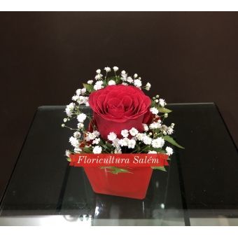 Arranjo Rosa Solitária