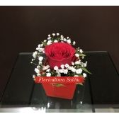 Arranjo Rosa Solitária