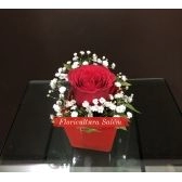 Arranjo Rosa Solitária