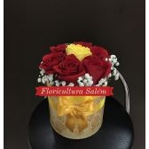 Caixa C/ 7 Rosas Vermelhas