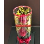 Arranjo 2 Rosas Tubo