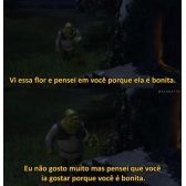 Rosa Azul Com Trecho Shrek