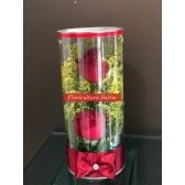 Arranjo 2 Rosas Tubo